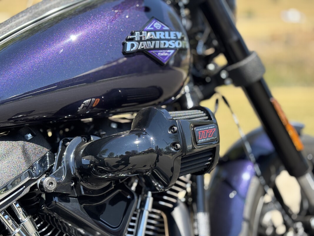 2025 Harley-Davidson Low Rider S Mystic Shift - Photo 9