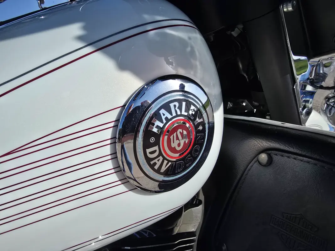 2002 Harley-Davidson Electra Glide Ultra Classic - Photo 9