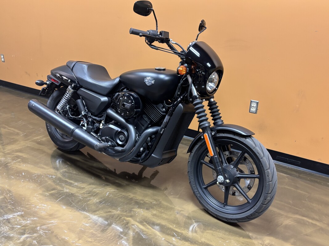 XG500 2015 Street 500 - Photo 4