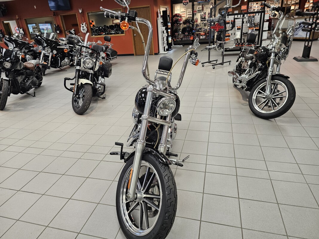 2009 FXDL - Photo 3