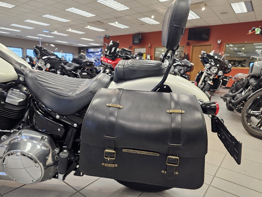 FLS 2018 Softail Slim - Photo 10