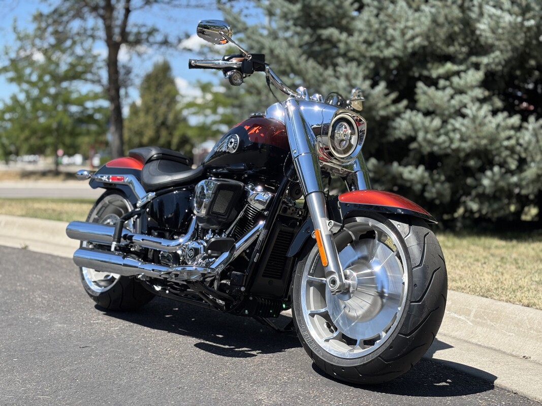 2025 Harley-Davidson Fat Boy - Photo 2
