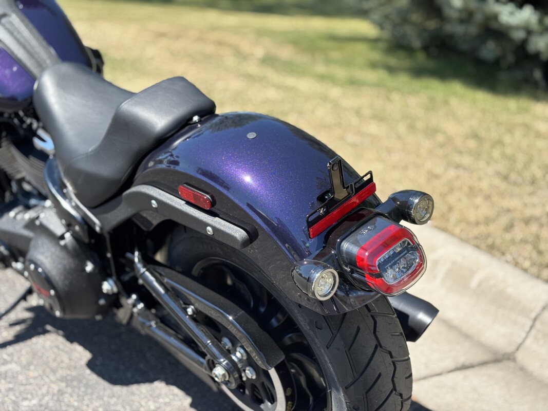 2025 Harley-Davidson Low Rider S Mystic Shift - Photo 10