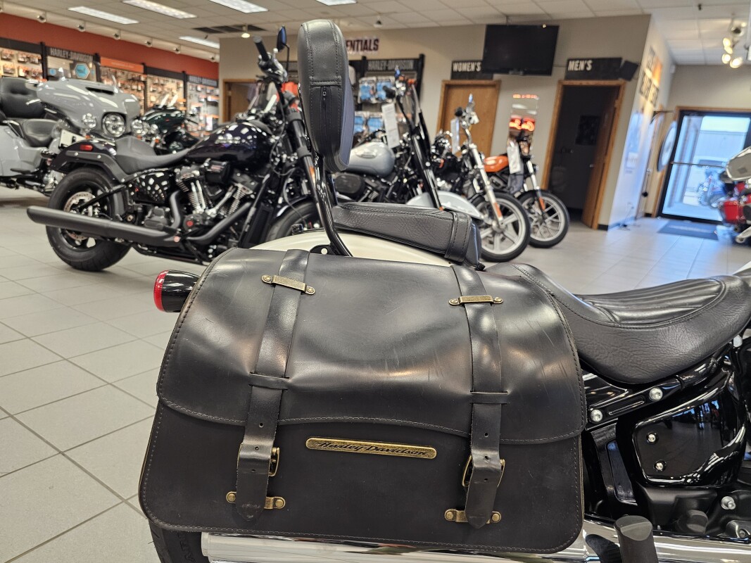 FLS 2018 Softail Slim - Photo 9