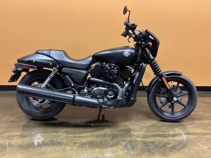 XG500 2015 Street™ 500