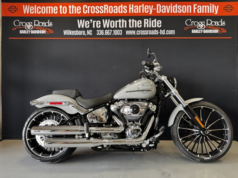2025 Harley-Davidson® Breakout® Billiard Gray