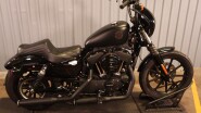 2020 Harley-Davidson® Iron 1200™ XL 1200NS