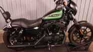 2021 Harley-Davidson® Iron 1200™ XL 1200NS
