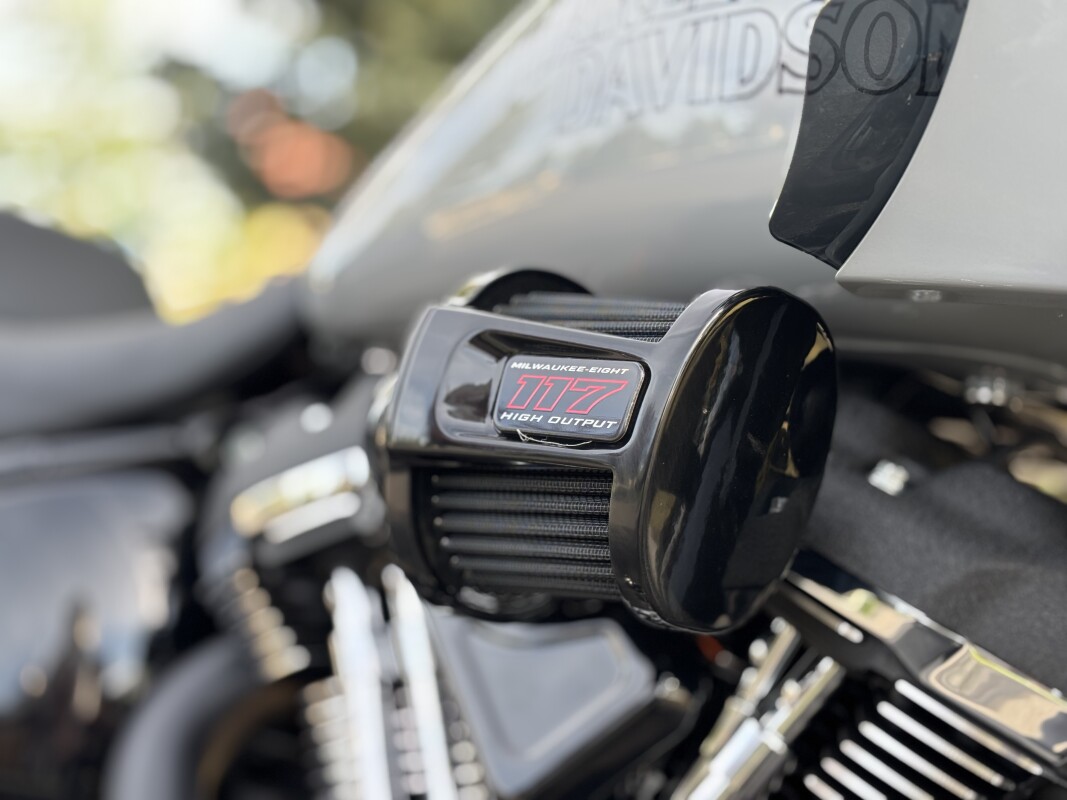 2025 Harley-Davidson Low Rider ST Billiard Gray - Photo 9