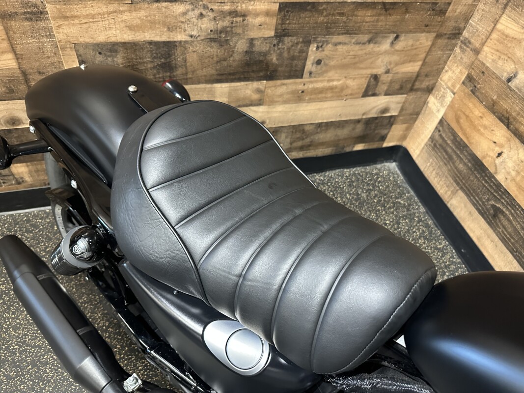 2022 Harley-Davidson Iron 883 Black Denim XL883N - Photo 9
