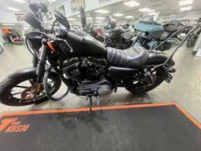 2022 Harley-Davidson® Iron 883™ Black Denim thumb 1