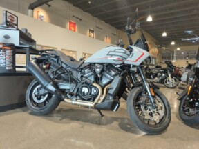 2025 Harley-Davidson® Pan America® 1250 ST Billiard Gray thumb 3