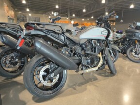 2025 Harley-Davidson® Pan America® 1250 ST Billiard Gray thumb 1
