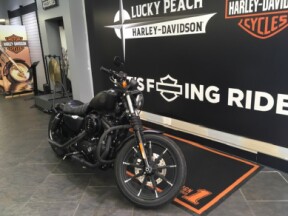2022 Harley-Davidson® Iron 883™ Black Denim thumb 3