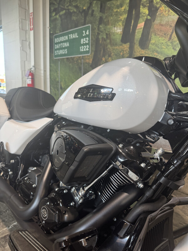 2025 Harley-Davidson Street Glide - Photo 2