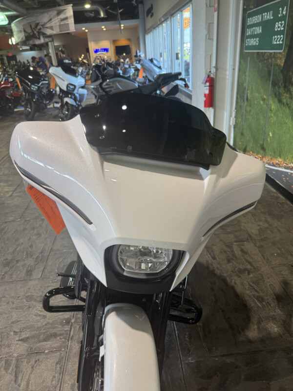 2025 Harley-Davidson Street Glide - Photo 10