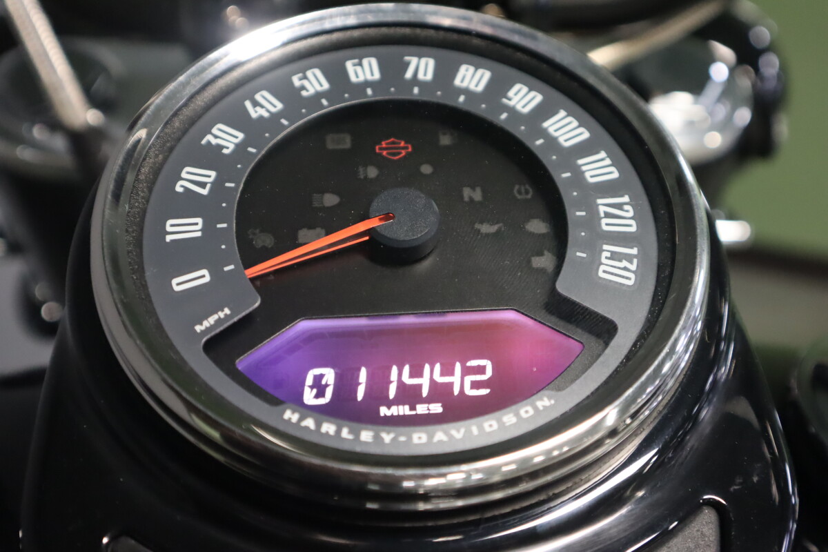 2020 Harley-Davidson Heritage Classic 114 FLHCS - Photo 8