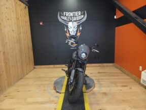 FXLRS 2022 Low Rider<sup>®</sup> S thumb 2