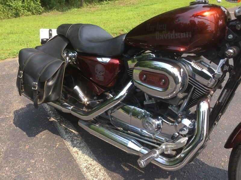 2007 Harley-Davidson Sportster Custom Allover Custom Print - Photo 5