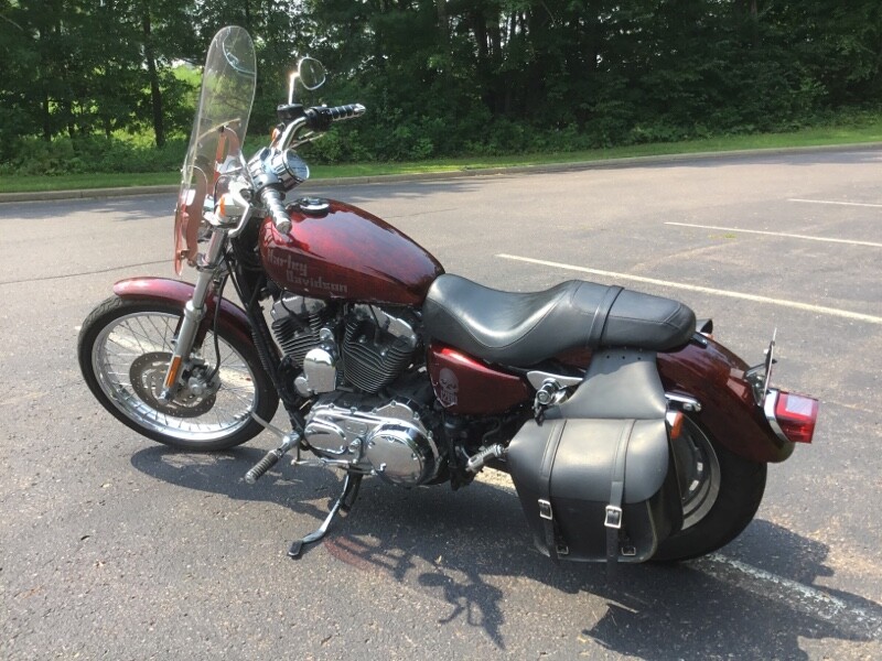 2007 Harley-Davidson Sportster Custom Allover Custom Print - Photo 3