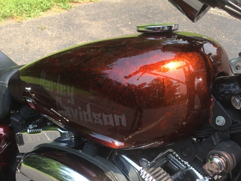 2007 Harley-Davidson Sportster Custom Allover Custom Print - Photo 6