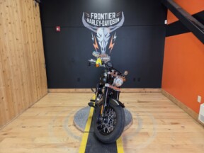 FLSL 2021 Softail Slim<sup>®</sup> thumb 2
