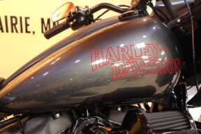 2025 Harley-Davidson HD FXLRST Softail Low Rider ST  thumb 3