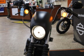 XL 1200NS 2021 Iron 1200™ thumb 3