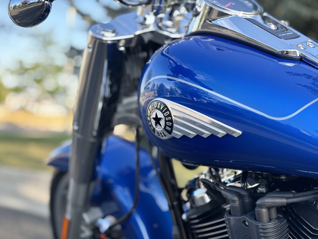 2025 Harley-Davidson Fat Boy Blue Burst - Photo 10
