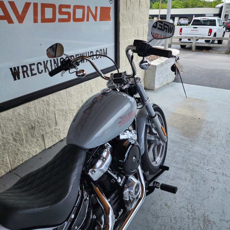2024 Harley-Davidson Softail Standard for Sale - Photo 6