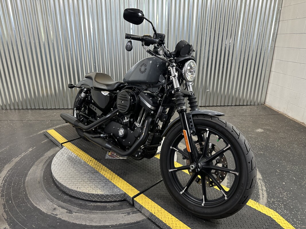 2022 Harley-Davidson Iron 883 Gunship Gray - Photo 2