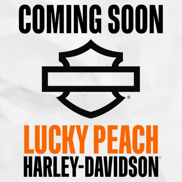 2015 Harley-Davidson® Iron 883™ Black Denim