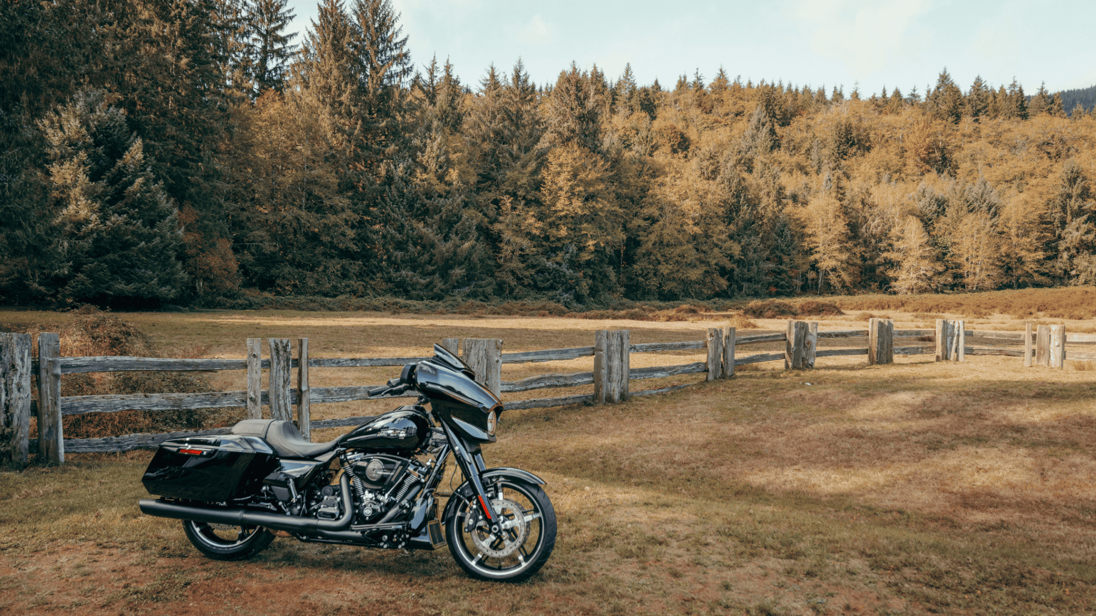 2025 Harley-Davidson Street Glide parked near a rustic wooden fence with autumn trees in the background