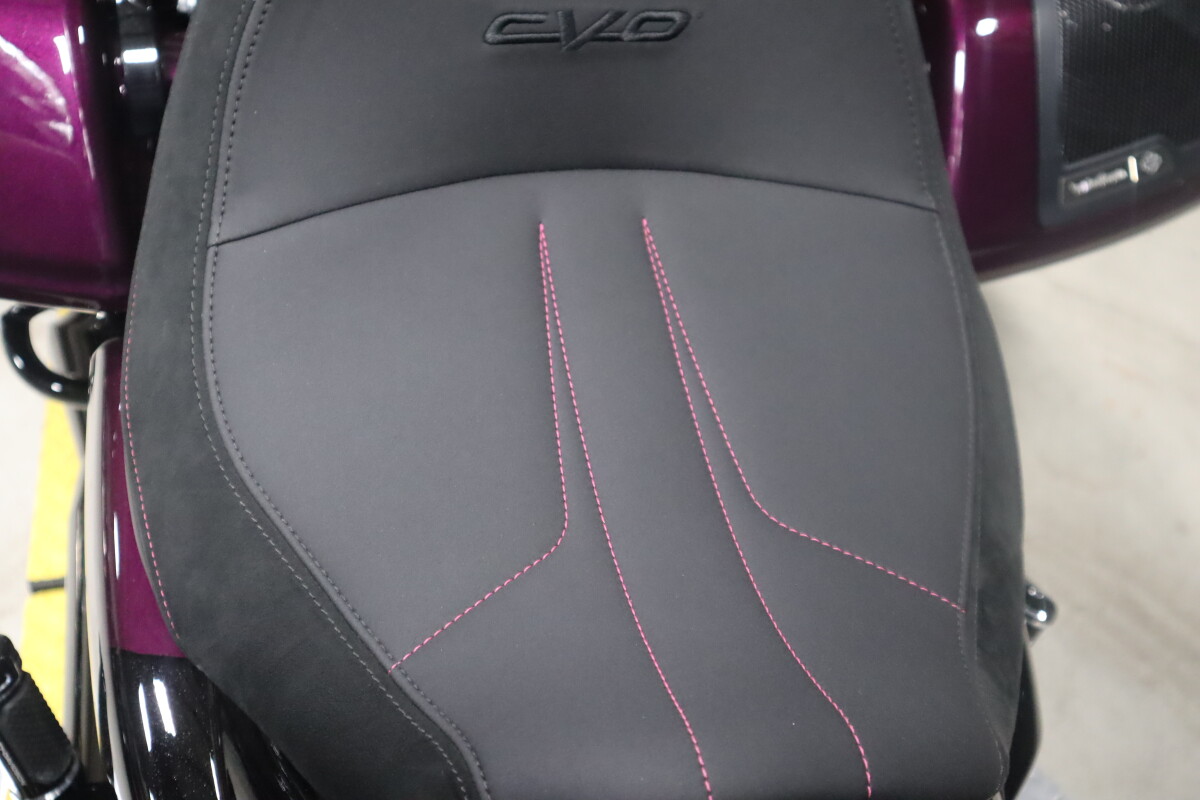2025 Harley-Davidson® CVO™ Street Glide™ FLHXSE, photo 27