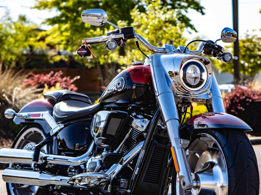 FLFB 2025 Fat Boy - Photo 8