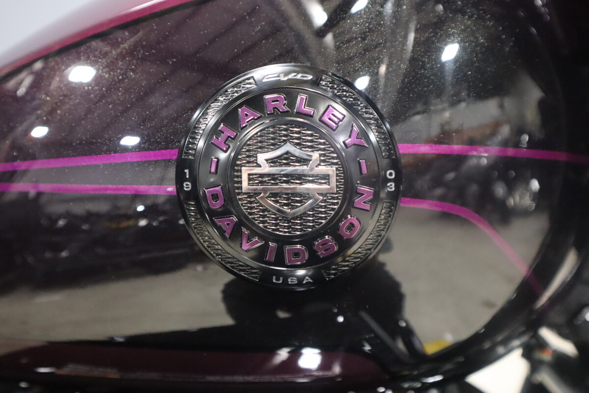 2025 Harley-Davidson® CVO™ Street Glide™ FLHXSE, photo 20