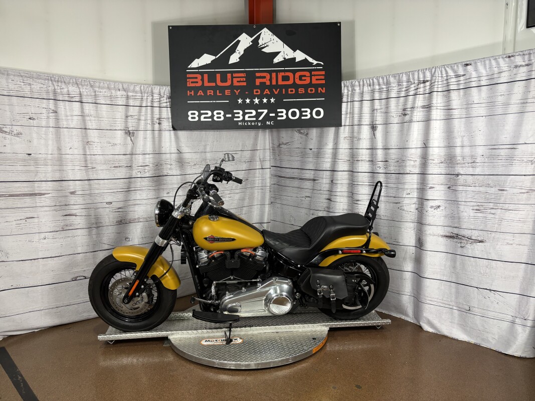 FLSL 2019 Softail Slim - Photo 5