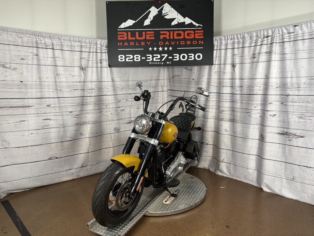 FLSL 2019 Softail Slim - Photo 4