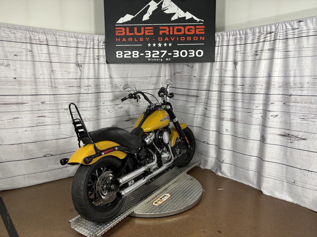 FLSL 2019 Softail Slim - Photo 8