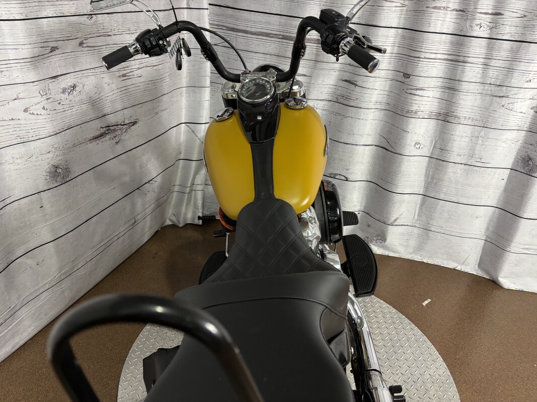 FLSL 2019 Softail Slim - Photo 9