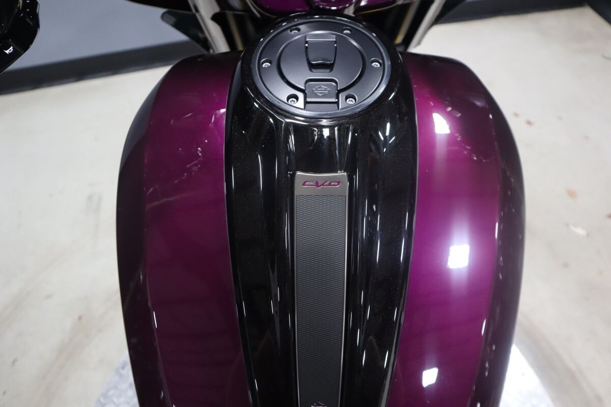 2025 Harley-Davidson® CVO™ Street Glide™ FLHXSE, photo 31