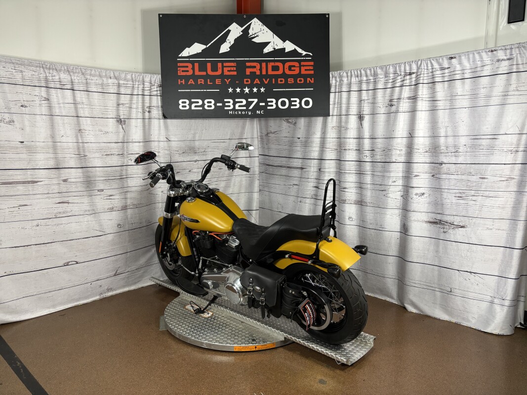 FLSL 2019 Softail Slim - Photo 6