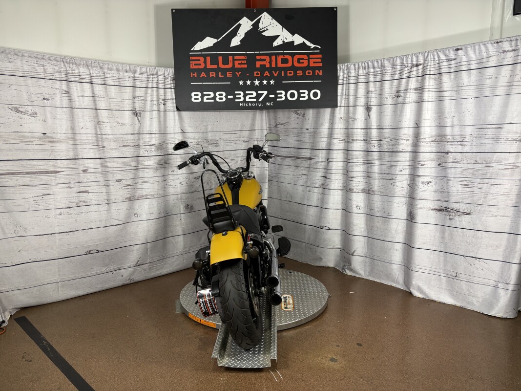 FLSL 2019 Softail Slim - Photo 7