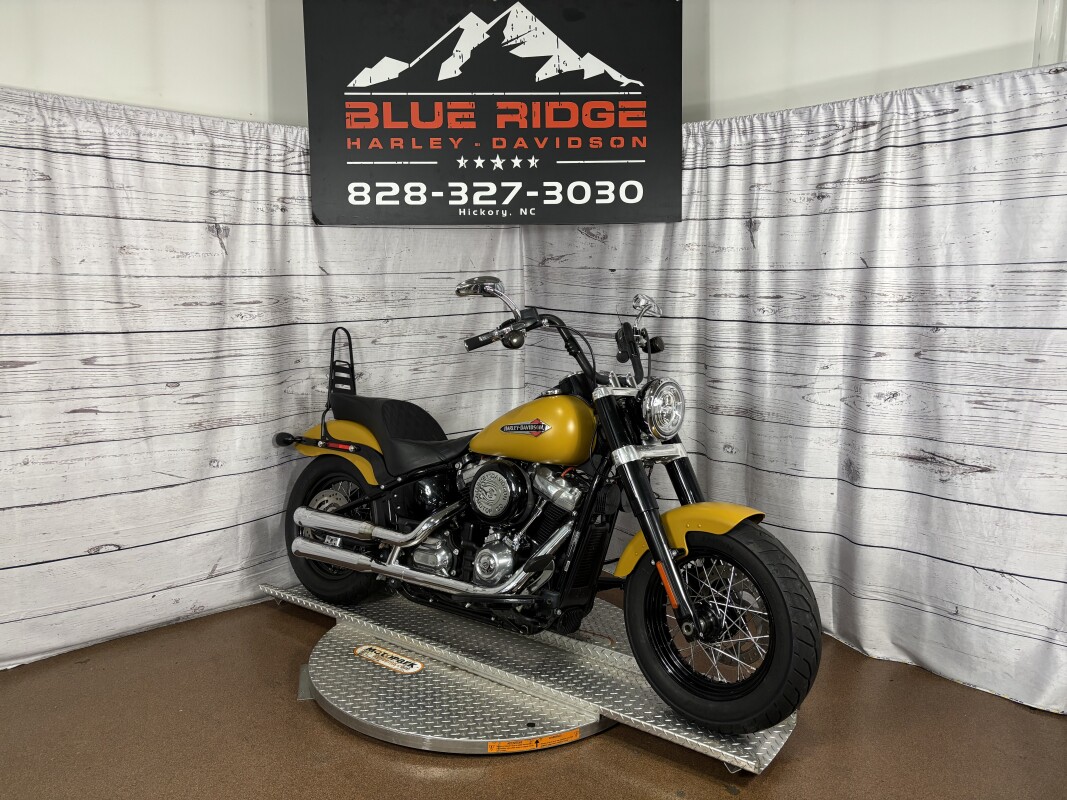 FLSL 2019 Softail Slim - Photo 2