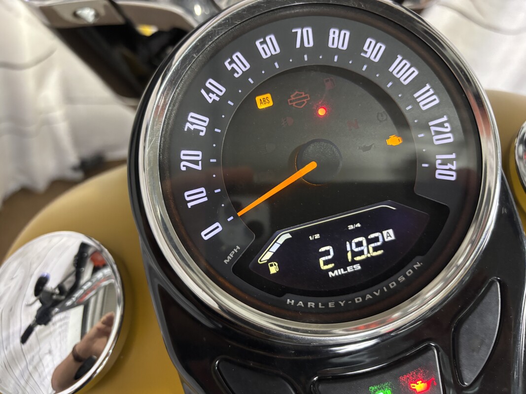 FLSL 2019 Softail Slim - Photo 10