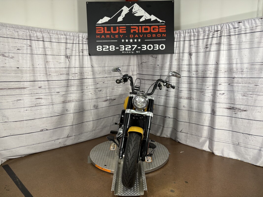 FLSL 2019 Softail Slim - Photo 3