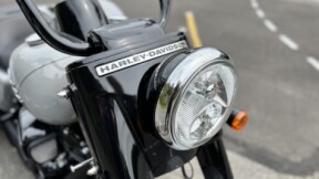 FLRT 2025 Freewheeler® thumb 0