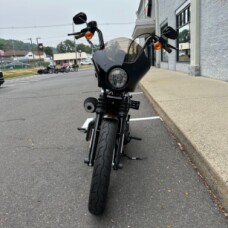 2019 XL 883N Iron 883™  thumb 1