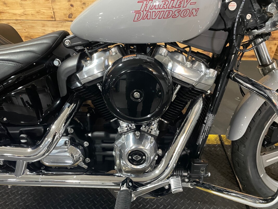 Harley-Davidson Softail Standard 2024 FXST Billiard Gray - Photo 2