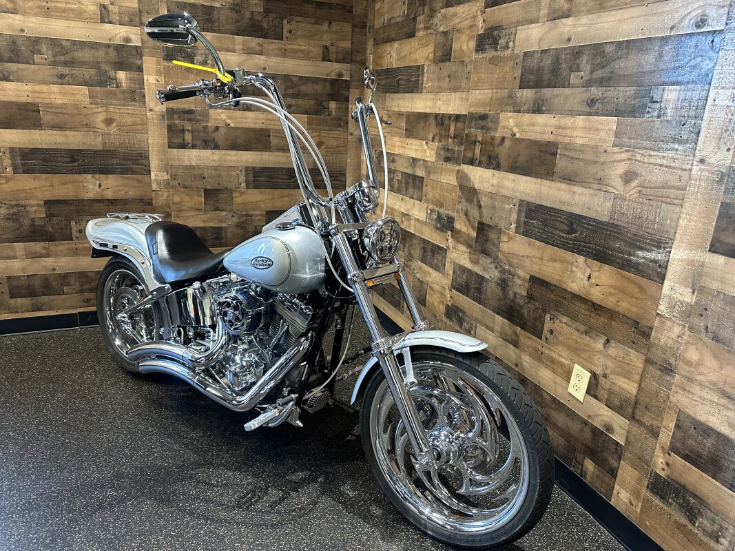 2006 Harley-Davidson Softail Standard Silver FXST - Photo 3